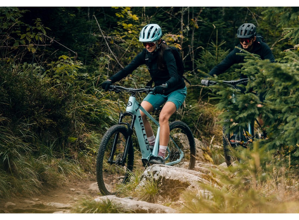 für KELLYS Tayen R50, Original E-Bike Ladegerät 42V 4,5A